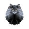 cat maine coon lowpoly style vector illustration design