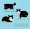 Cat Manx Cartoon Vector Illustration