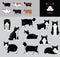 Cat Manx Cartoon Vector Illustration Color Variation Set