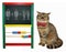 Cat mathematician near a blackboard 2