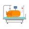 Cat in Medical bed. Pet is sick. Vector illustration