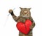 Cat mends broken heart 3