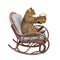 Cat with mug of beer in rocking chair