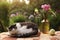 Cat napping sleep with flox flowers in vase