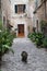 Cat in narrow street in Valldemossa, West Coast, Mallorca