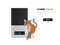 cat near automatic digital pet dry food storage meal feeder dispenser animal feed machine horizontal copy space