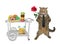 Cat near table trolley with donuts