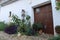 Cat next to a door full of plants in Linares de la Sierra, Huelva, Spain