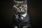 Cat in office uniform business costume on dark background. Serious cat portrait, generative ai