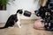 cat owner kneeling on the floor in front of cat holding treat jar