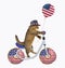 Cat patriot rides a bicycle 2