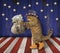Cat patriot with a sack of money 2
