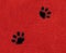 Cat Pawprints on Fabric