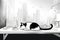 cat, with paws resting on desk, drawing futuristic cityscape in stylish black and white