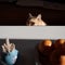 A cat peeking over a kotatsu table with toothpicks and oranges in the foreground and dramatic light in a traditional Japanese home