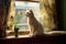 cat perched on a windowsill, watching mouse outside