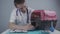 Cat in pet carrier on examination table of veterinarian clinic with pet doctor. Male veterinarian in white medical suit