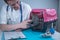 Cat in pet carrier on examination table of veterinarian clinic with pet doctor. Male veterinarian in white medical suit