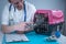 Cat in pet carrier on examination table of veterinarian clinic with pet doctor. Male veterinarian in white medical suit