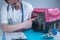 Cat in pet carrier on examination table of veterinarian clinic with pet doctor. Male veterinarian in white medical suit