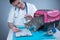 Cat in pet carrier on examination table of veterinarian clinic with pet doctor. Male veterinarian in white medical suit