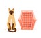 Cat and pet carrier. Manual plastic carrying case for traveling with pets or visiting veterinarian. Cat transport box