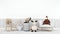 Cat playing with doll reindeer bear and giraffe in kid room - 3D rendering