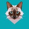 Cat in polygon style. The head of a Siamese cat. Polygonal image