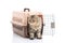 Cat ponibcctyc vk pet carrier isolated on white background