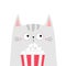 Cat popcorn box. Kitten watching movie. Cute cartoon funny character. Kids print for tshirt notebook cover. Cinema theater. Film