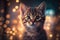 Cat Portrait with Bokeh Lights generated with generative AI