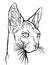 Cat portrait. Hand drawn illustration.Sphynx cat.