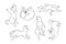 Cat poses doodle set. Monochrome cat sketches. Vector illustration