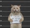 Cat prisoner with placard 2