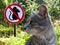 Cat protects and preys on mice on the background of the sign prohibition of mice.