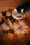 Cat, pumpkin, autumn leaves and a knitted scarf on a wooden background.