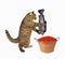 Cat putting red caviar in bucket