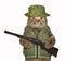 Cat ranger with a rifle