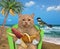 Cat reddish with banana sausage by sea