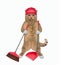 Cat reddish with broom and dustpan