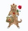 Cat reddish in crown with handbag