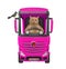 Cat reddish drives big pink truck