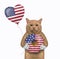 Cat reddish holds balloon and usa donut