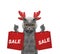 Cat with reindeer antlers holds up with shopping bag