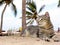 Cat relaxing on the beach kenia