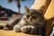 cat relaxing on desk chair at the beach Generate with Ai