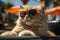 cat relaxing on desk chair at the beach Generate with Ai