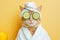 Cat relaxing in spa with cucumber slices on eyes. Cute cat in a bathrobe and turban on spa treatments after bath. Beauty