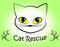 Cat Rescue Means Pet Kitty And Saving