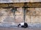 A cat resting beside an ancient textured temple wall